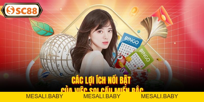 Soi Cầu Miền Bắc - Dự Đoán Nhanh, Tỷ Lệ Trúng Cao Tại SC88 - Mesali