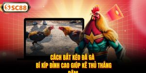 Đá Gà SC88 - Đấu Trường Rực Lửa, Kèo Thơm Mỗi Ngày - Mesali