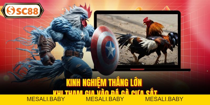 Đá Gà Cựa Sắt - Chinh Phục Các Trận Chiến Đỉnh Cao, Nảy Lửa - Mesali