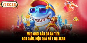 Bắn Cá SC88 - Khám Phá Thế Giới Đại Dương Tuyệt Vời - Mesali