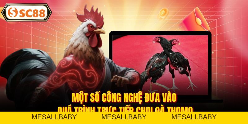 Trực Tiếp Đá Gà Thomo - Sân Chơi Giải Trí Đình Đám Hiện Nay - Mesali
