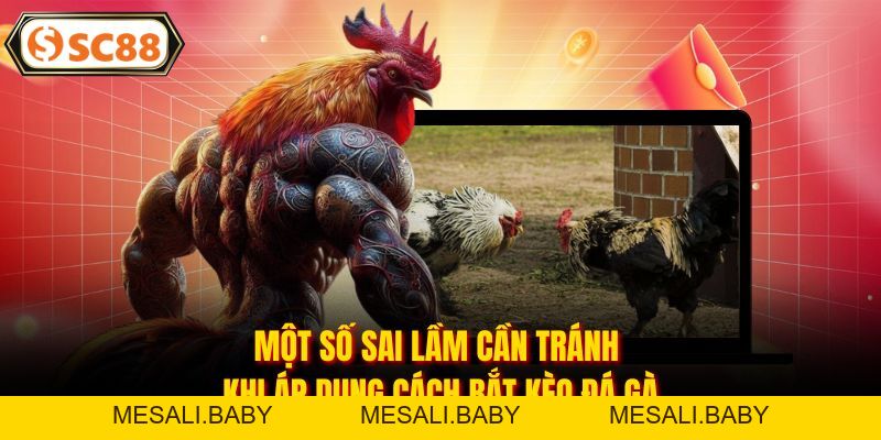 Cách Bắt Kèo Đá Gà - Bí Kíp Đỉnh Cao Giúp Kê Thủ Thắng Đậm - Mesali