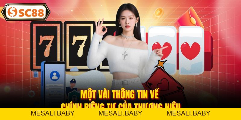 Quyền Riêng Tư SC88 Cam Kết Bảo Vệ Hội Viên Toàn Diện - Mesali