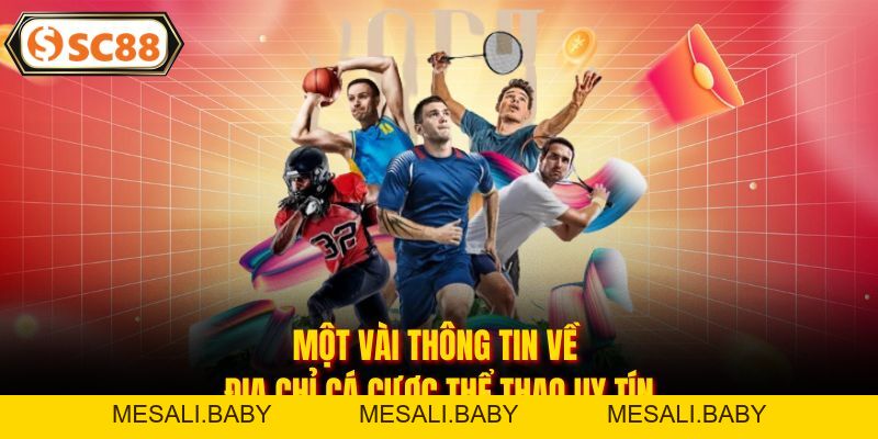 Thể Thao SC88 - Đam Mê Cá Cược Thể Thao Đỉnh Cao 2026 - Mesali