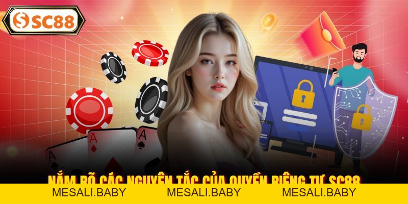 Quyền Riêng Tư SC88 Cam Kết Bảo Vệ Hội Viên Toàn Diện - Mesali