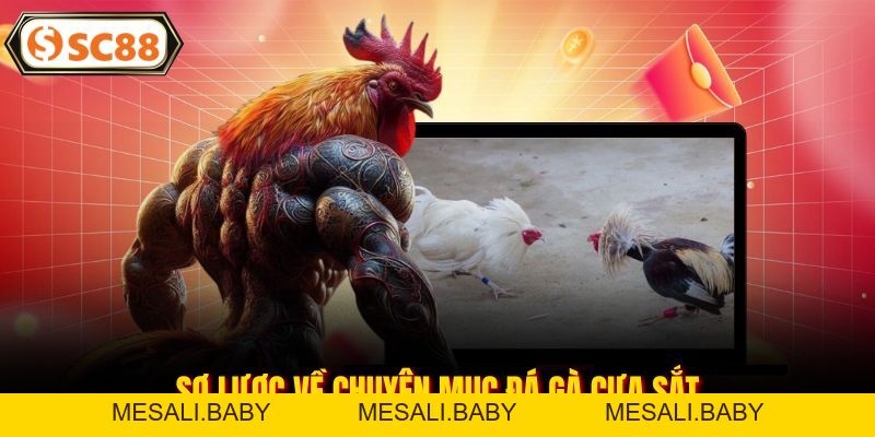 Đá Gà Cựa Sắt - Chinh Phục Các Trận Chiến Đỉnh Cao, Nảy Lửa - Mesali