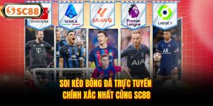 Thể Thao SC88 - Đam Mê Cá Cược Thể Thao Đỉnh Cao 2026 - Mesali