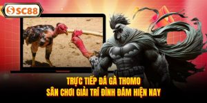 SC88 ✅️ Link Trang Chủ Chính Thức SC88⭐️ Mới Nhất 2026 - Mesali